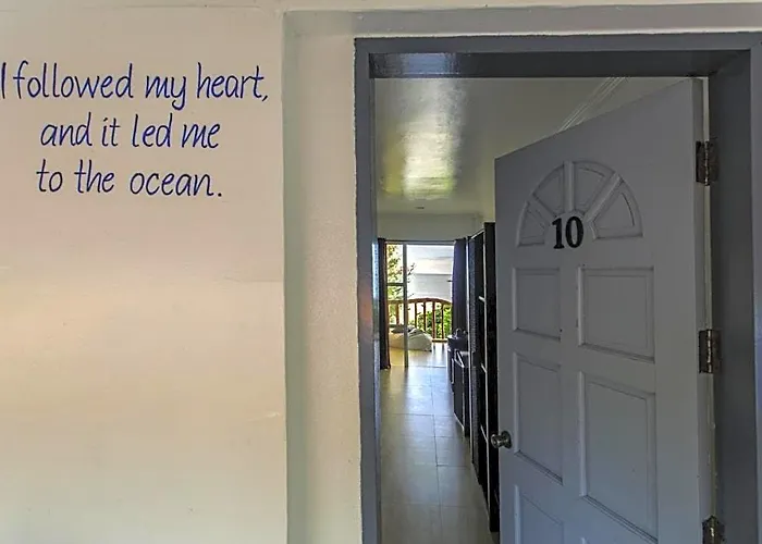 Ocean Vida And Dive Daanbantayan