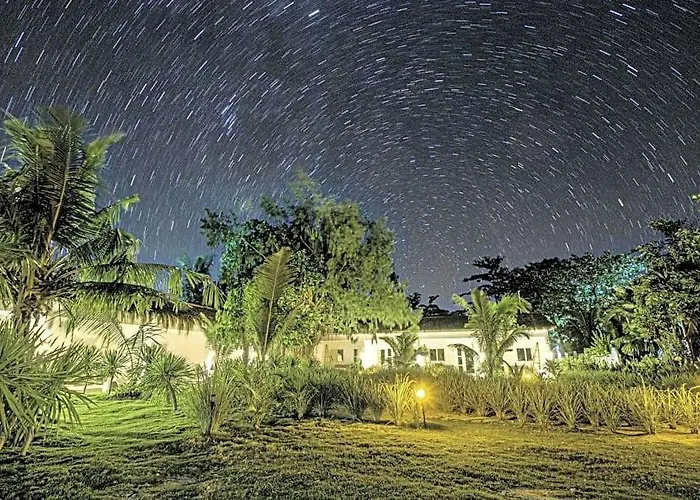Hotel Ocean Vida And Dive Daanbantayan