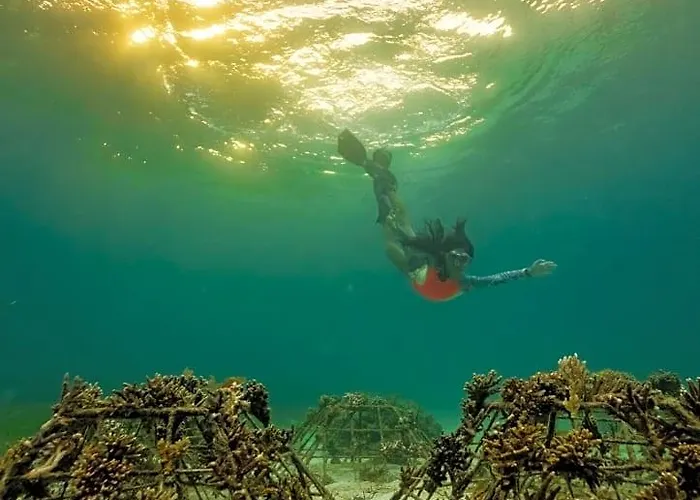 Ocean Vida And Dive Hotel Daanbantayan